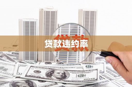 九龙贷款违约率