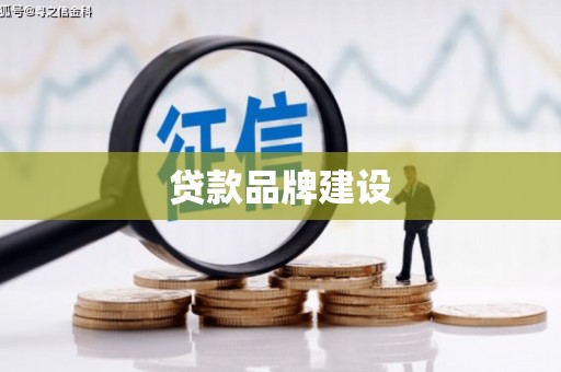 九龙贷款品牌建设