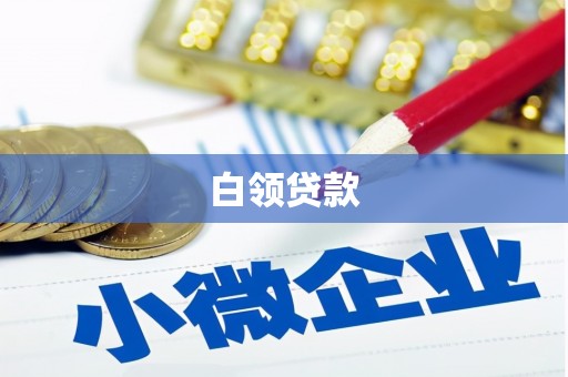 九龙白领贷款