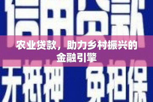 九龙农业贷款，助力乡村振兴的金融引擎