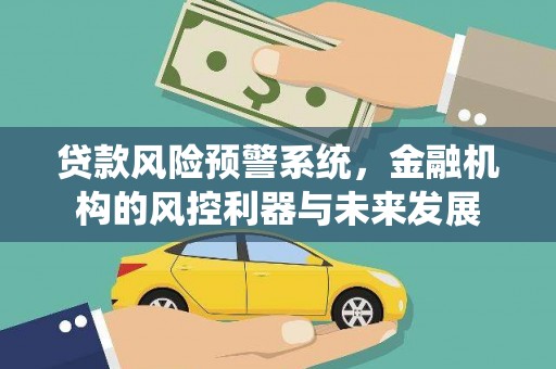 九龙贷款风险预警系统，金融机构的风控利器与未来发展