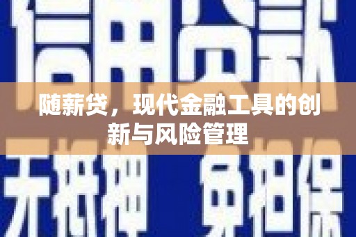 九龙随薪贷，现代金融工具的创新与风险管理