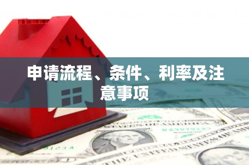 九龙申请流程、条件、利率及注意事项