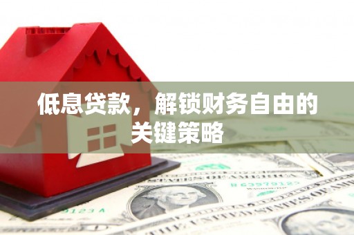 九龙低息贷款，解锁财务自由的关键策略