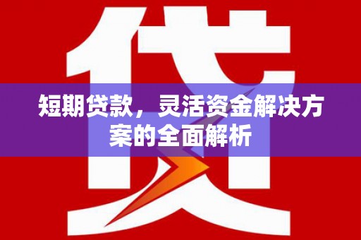 九龙短期贷款，灵活资金解决方案的全面解析