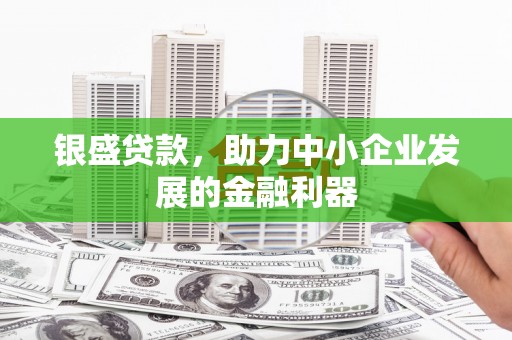 九龙银盛贷款，助力中小企业发展的金融利器
