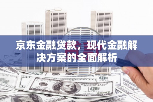 九龙京东金融贷款，现代金融解决方案的全面解析