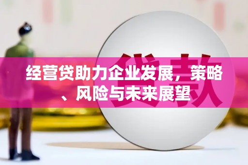 九龙经营贷助力企业发展，策略、风险与未来展望