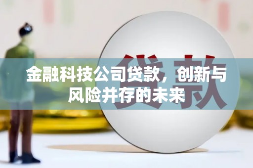 九龙金融科技公司贷款，创新与风险并存的未来