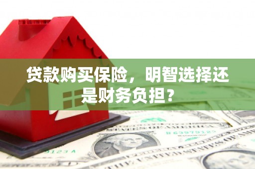九龙贷款购买保险，明智选择还是财务负担？
