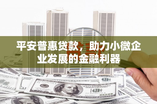九龙平安普惠贷款，助力小微企业发展的金融利器