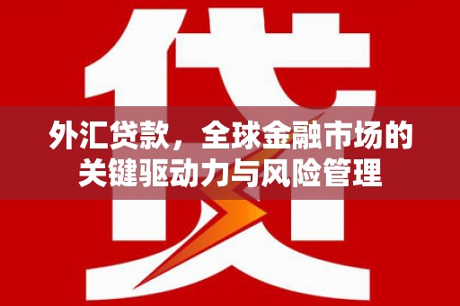 九龙外汇贷款，全球金融市场的关键驱动力与风险管理