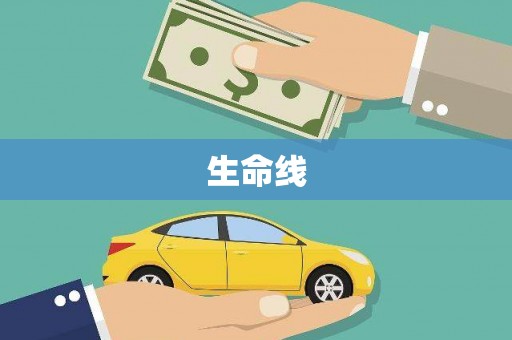九龙生命线