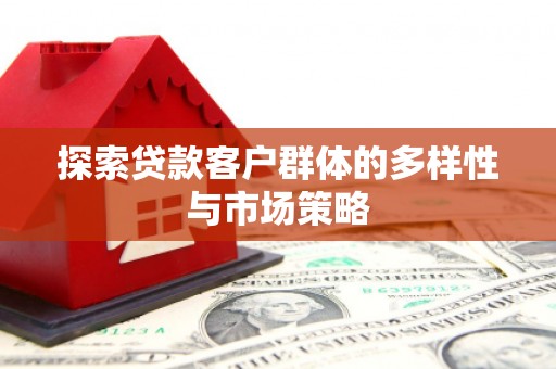 九龙探索贷款客户群体的多样性与市场策略