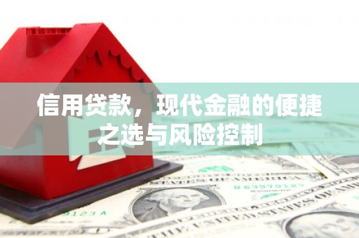 九龙信用贷款，现代金融的便捷之选与风险控制