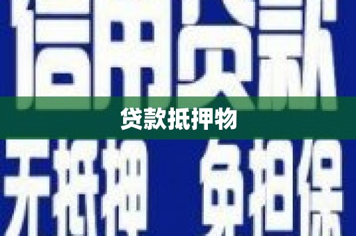 九龙贷款抵押物