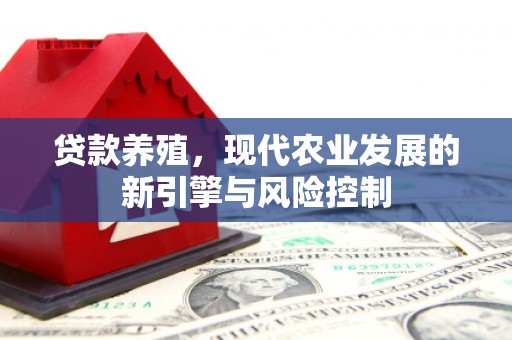 九龙贷款养殖，现代农业发展的新引擎与风险控制