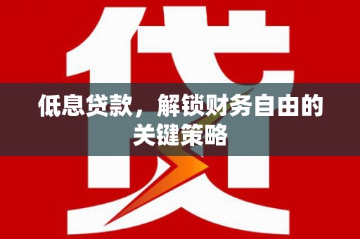 九龙低息贷款，解锁财务自由的关键策略