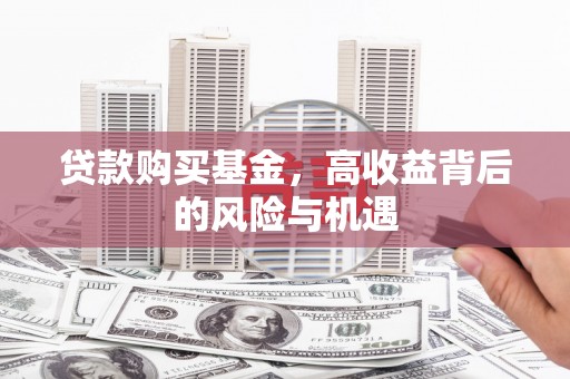 九龙贷款购买基金，高收益背后的风险与机遇