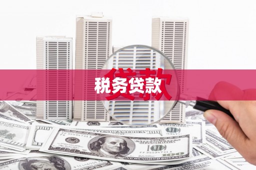 九龙税务贷款