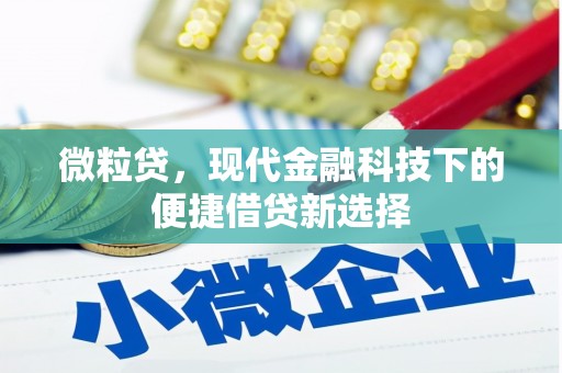 九龙微粒贷，现代金融科技下的便捷借贷新选择