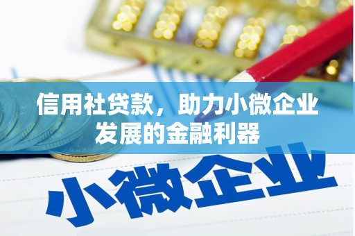九龙信用社贷款，助力小微企业发展的金融利器