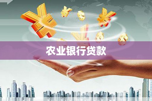 九龙农业银行贷款