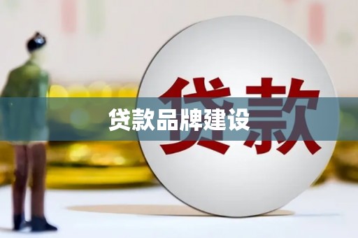 九龙贷款品牌建设