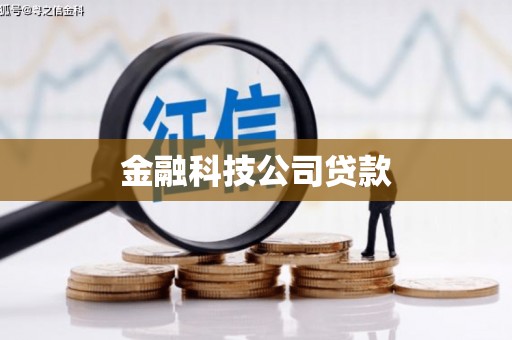 九龙金融科技公司贷款