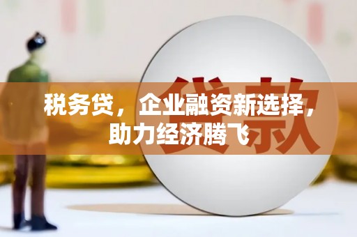 九龙税务贷，企业融资新选择，助力经济腾飞