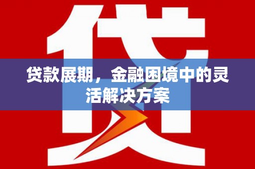 九龙贷款展期，金融困境中的灵活解决方案