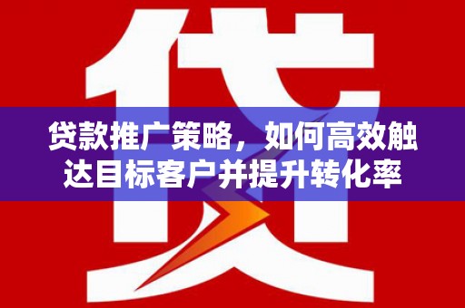 九龙贷款推广策略，如何高效触达目标客户并提升转化率