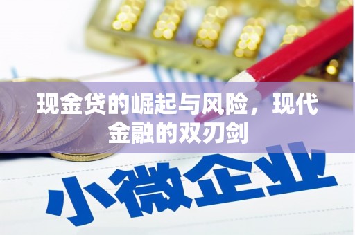 九龙现金贷的崛起与风险，现代金融的双刃剑