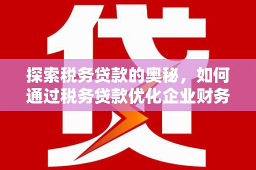 九龙探索税务贷款的奥秘，如何通过税务贷款优化企业财务