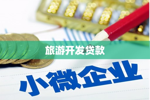 九龙旅游开发贷款