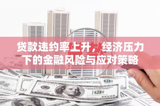 九龙贷款违约率上升，经济压力下的金融风险与应对策略