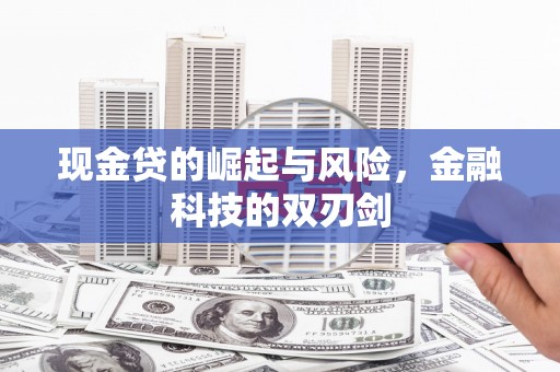 九龙现金贷的崛起与风险，金融科技的双刃剑