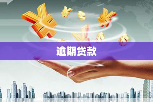 九龙逾期贷款