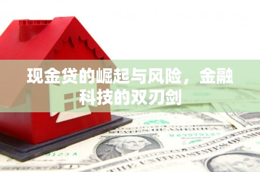 九龙现金贷的崛起与风险，金融科技的双刃剑