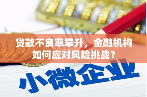 九龙贷款不良率攀升，金融机构如何应对风险挑战？