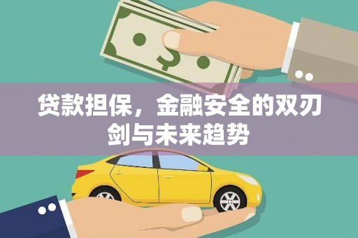 九龙贷款担保，金融安全的双刃剑与未来趋势