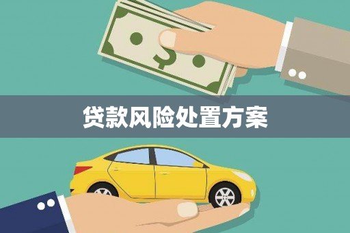 九龙贷款风险处置方案