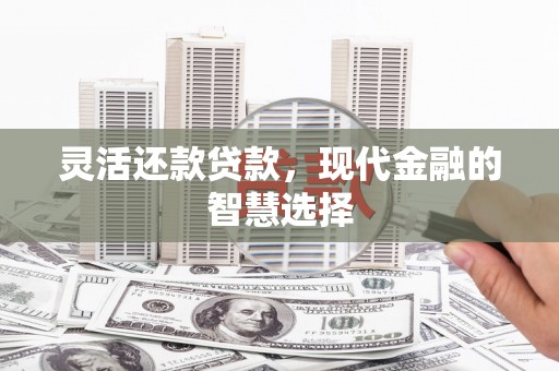 九龙灵活还款贷款，现代金融的智慧选择
