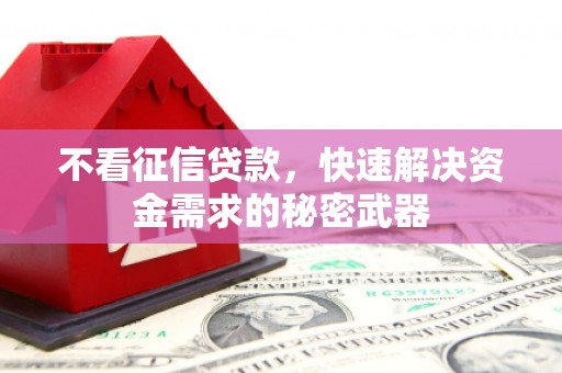 九龙不看征信贷款，快速解决资金需求的秘密武器