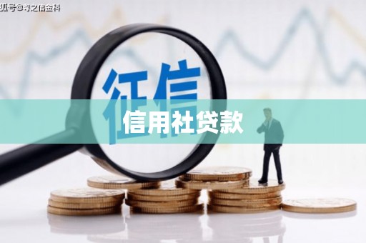 九龙信用社贷款