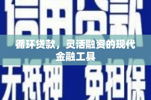 九龙循环贷款，灵活融资的现代金融工具