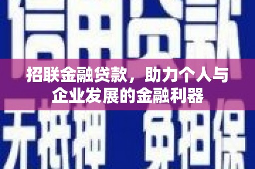 九龙招联金融贷款，助力个人与企业发展的金融利器