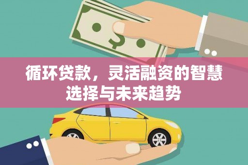 九龙循环贷款，灵活融资的智慧选择与未来趋势