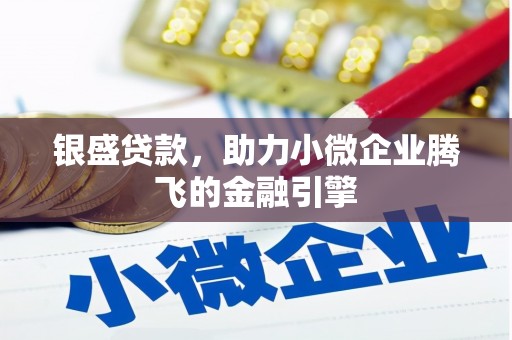 九龙银盛贷款，助力小微企业腾飞的金融引擎