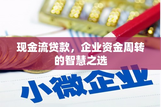 九龙现金流贷款，企业资金周转的智慧之选